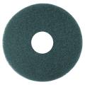 Rental store for FLOOR PAD 17 THICK,GREEN in Woodland CA